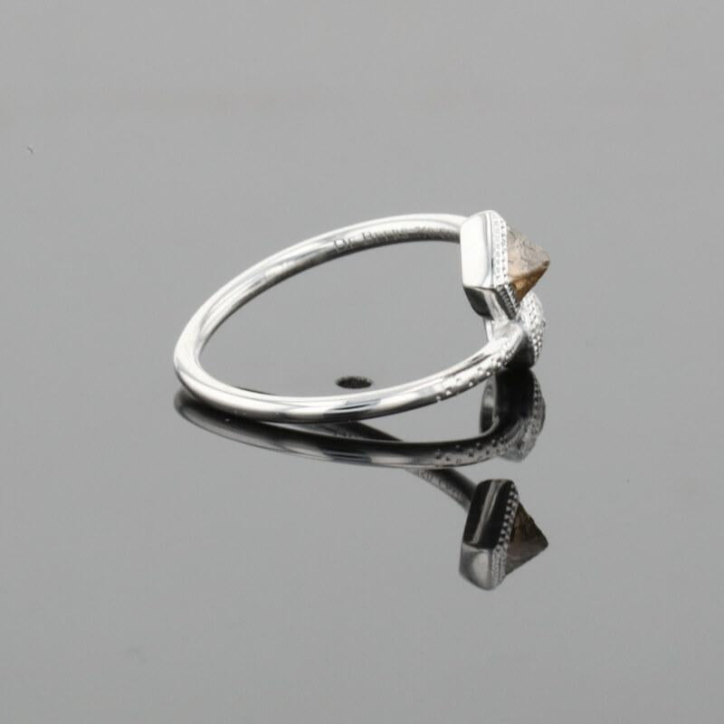 De Beers Talisman Polished & Brown Rough Natural Diamonds 18K White Gold Ring