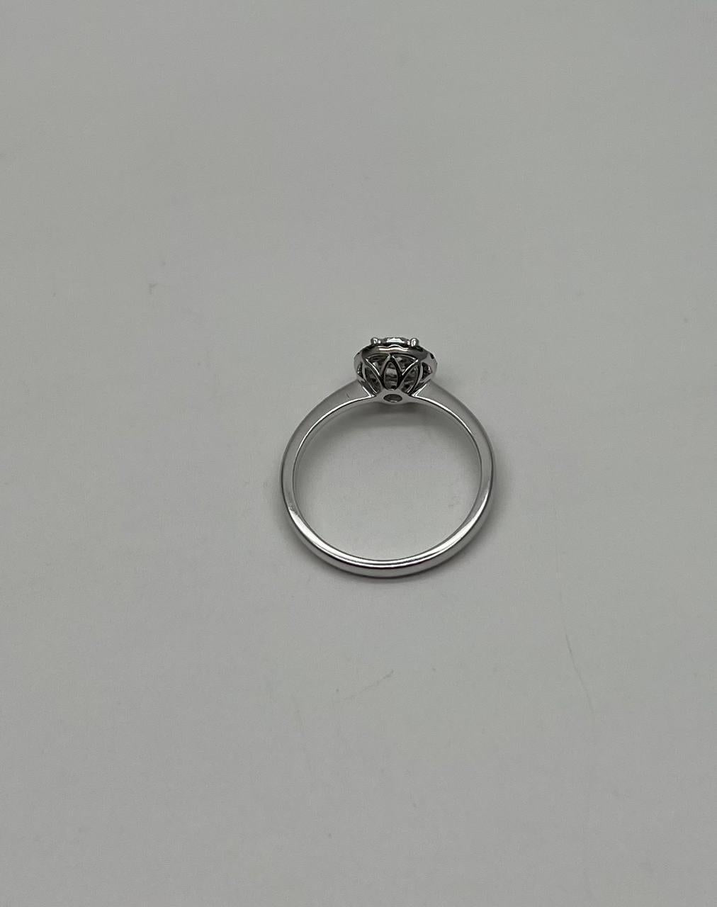 Diamonds Pave Set Round Cluster Black Diamond Halo 14K White Gold Statement Ring