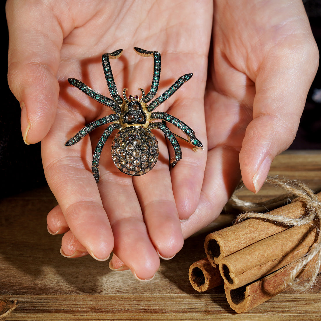 Diamond Emerald Ruby Vintage Style Spider 9kt Yellow Gold Insect Brooch