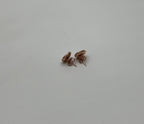 Brilliant Diamonds Cluster Pave-Set 14K Rose Gold Classic Stud Earrings