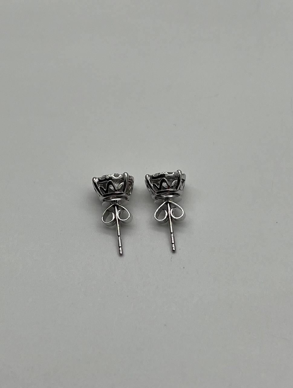 Diamond Cluster Pave Set Halo Set 14K White Gold Stud Earrings