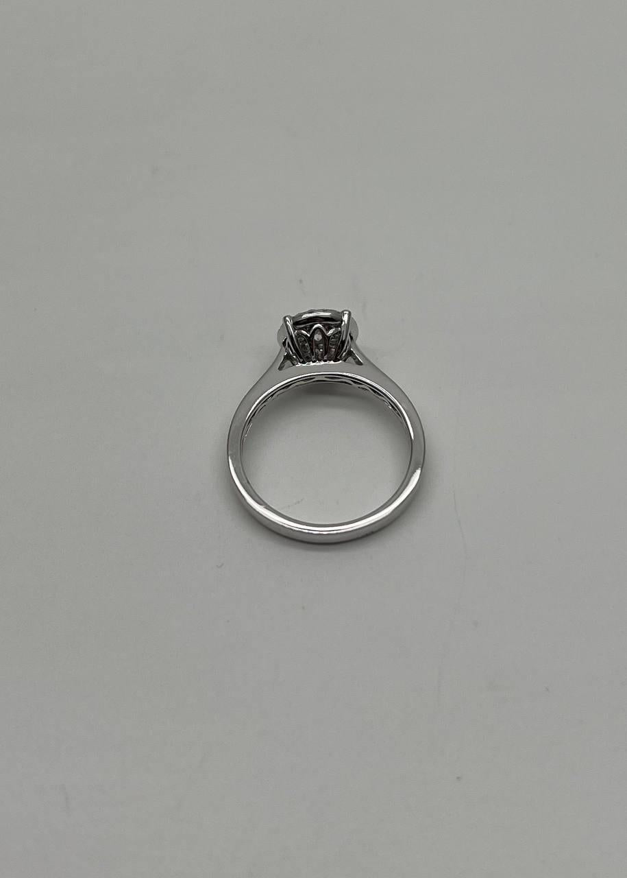 Diamonds Pave Set Cluster Halo Set 14K White Gold Statement Ring