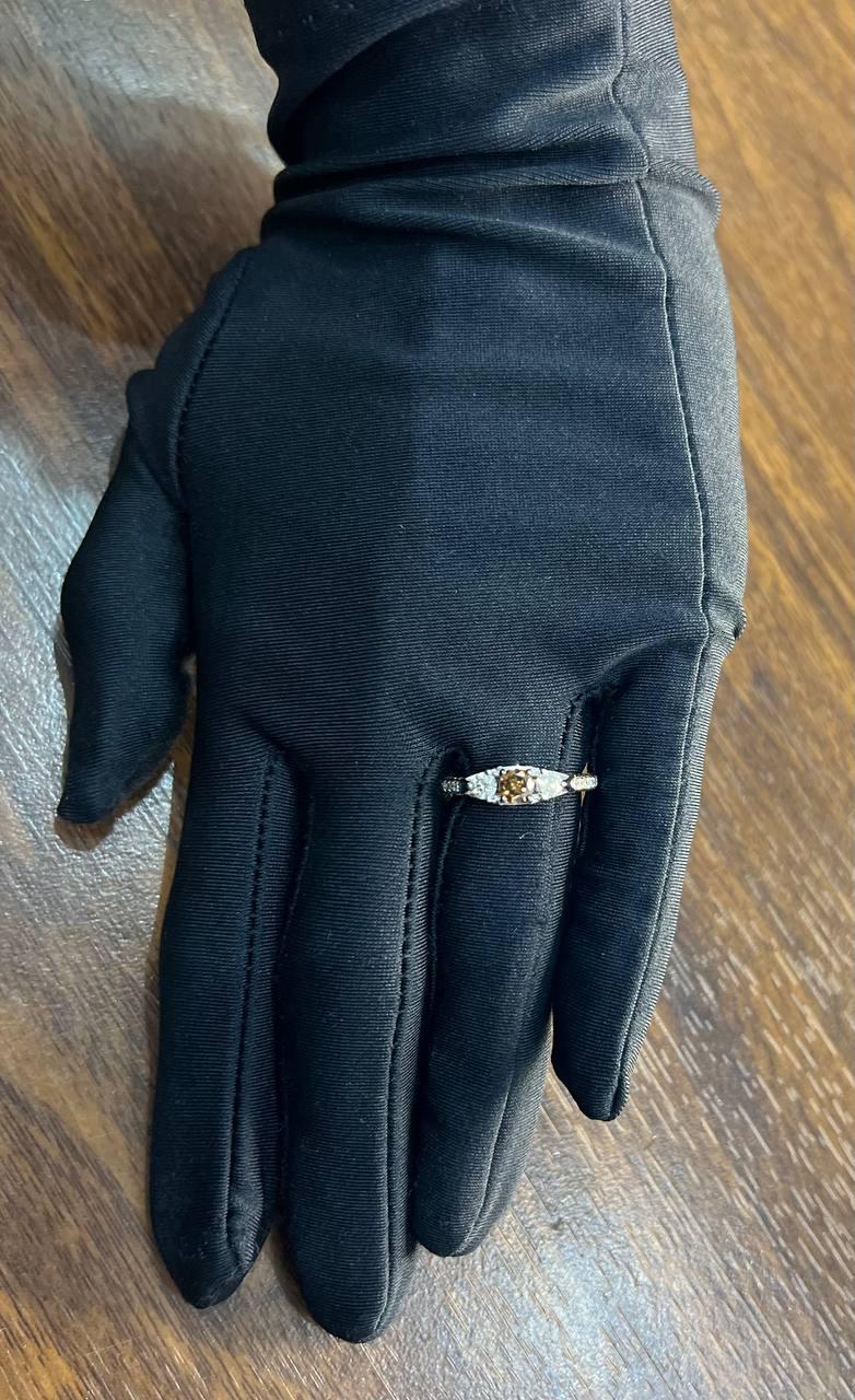 Brown Chocolate Diamond White Diamonds Pave Set 14K White Gold Statement Ring